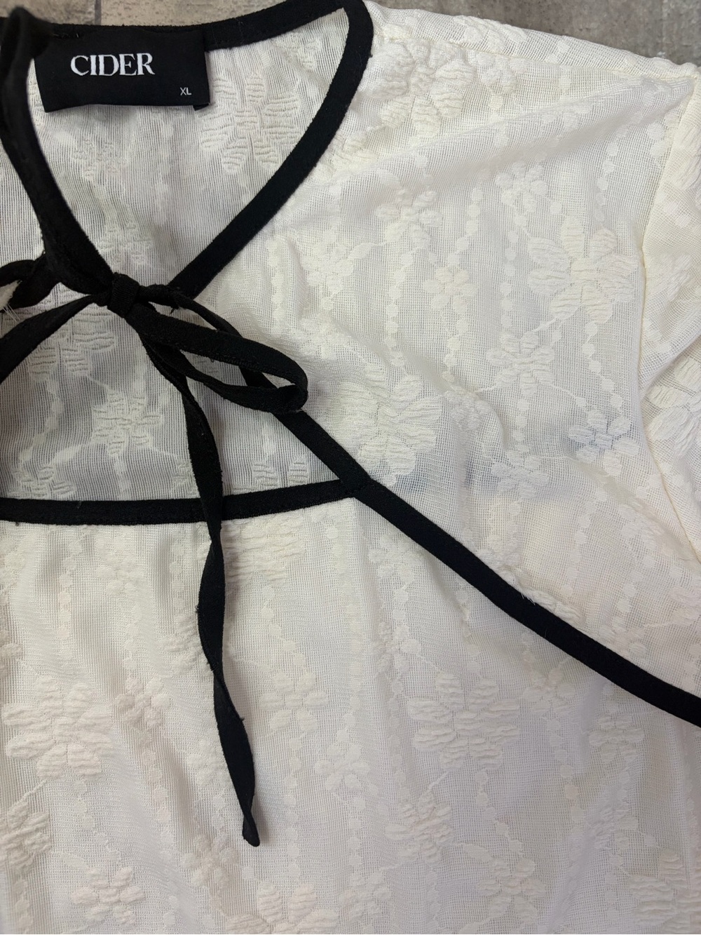 Cider Cream Lace Blouse with Black Trim and Tie - Picture 3 of 4